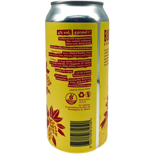 Burning Sky Three Arms (Pale Ale)