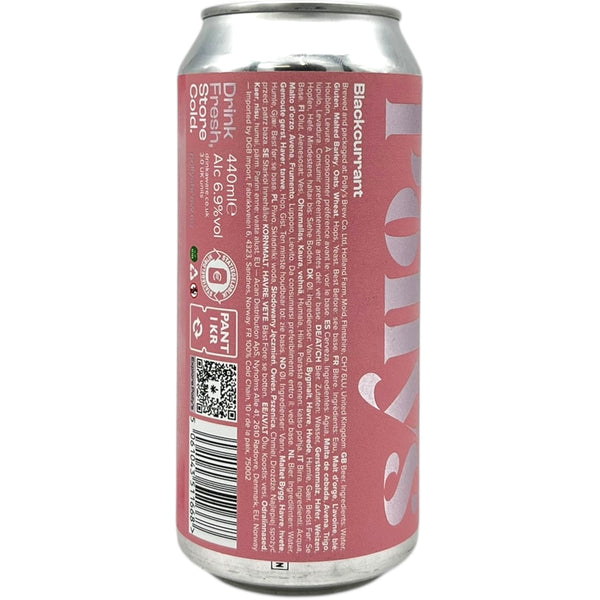 Polly's Blackcurrant Saison