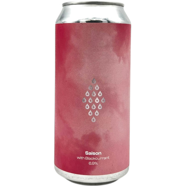 Polly's Blackcurrant Saison
