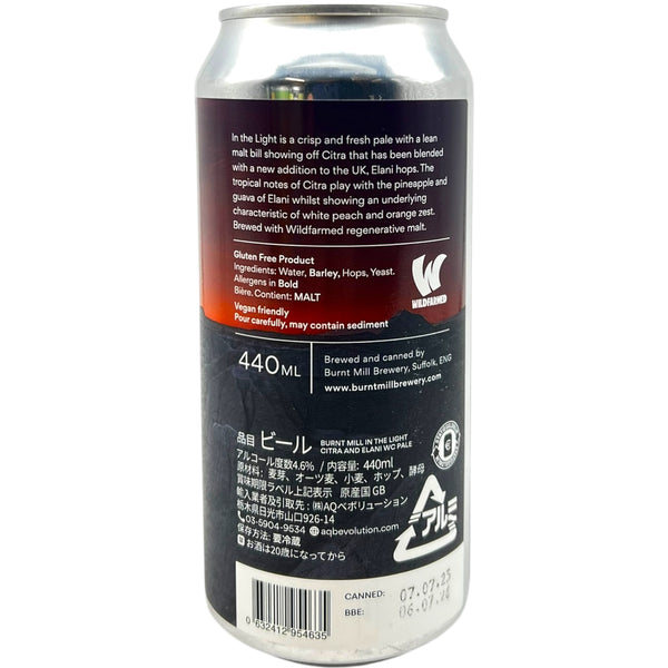 Burnt Mill In The Light