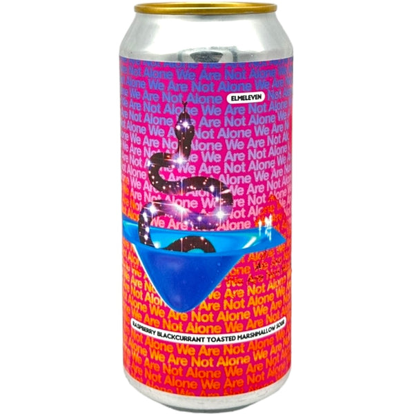 Elmeleven We Are Not Alone