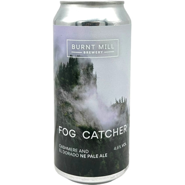 Burnt Mill Fog Catcher