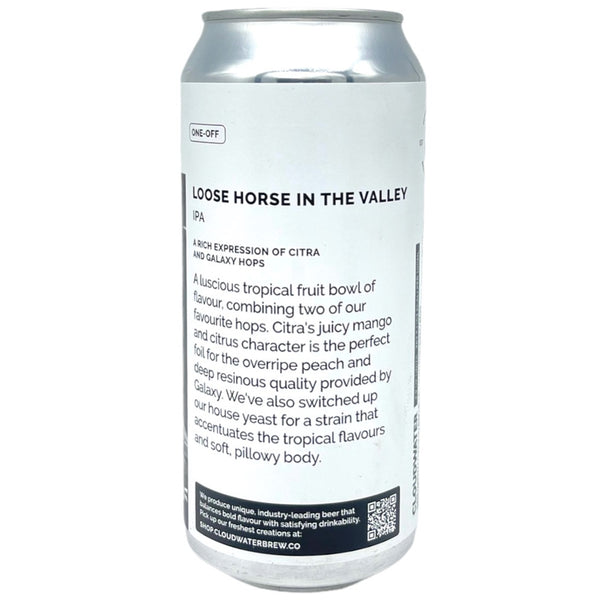 Cloudwater Loose Horse In The Valley